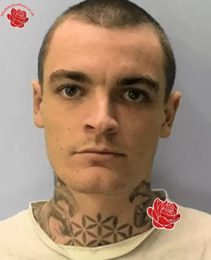 James Hamling – profile image