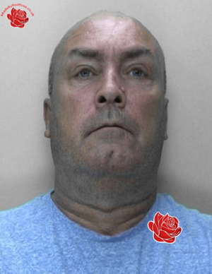 Stephen Beal – profile image