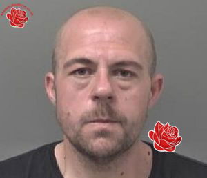 Nicholas Smith – profile image
