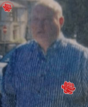 Stuart Johnston – profile image