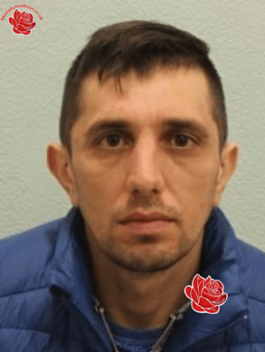 Ciprian Plaiu – profile image