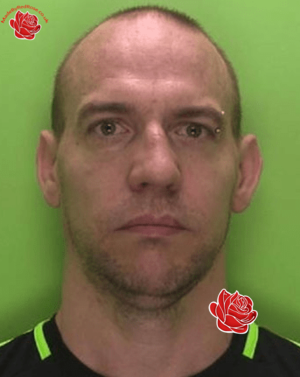 Stuart Hooper – profile image
