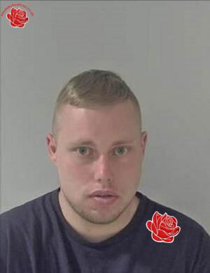 Christopher Matthews – profile image