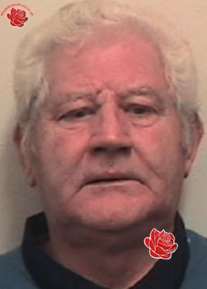 William Cross – profile image