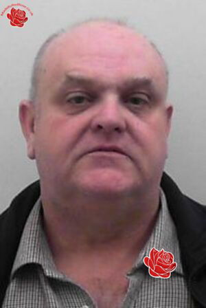 Stuart Bull – profile image