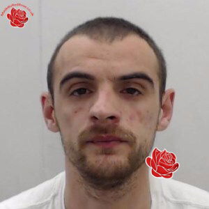 Mark Todd – profile image
