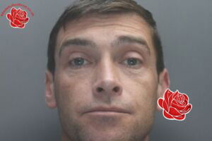 Paul Eccleston – profile image