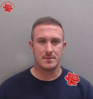 Stuart Lloyd – profile image