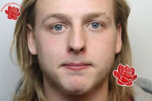 Alfie Davies – profile image