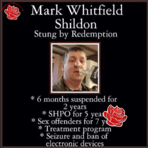 Mark Whitfield – profile image
