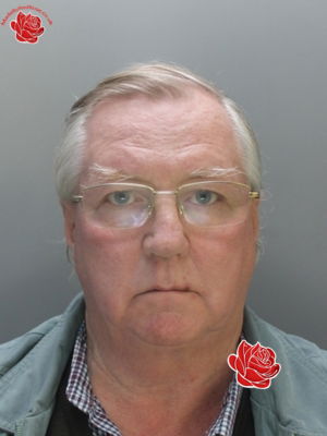 David Crook – profile image