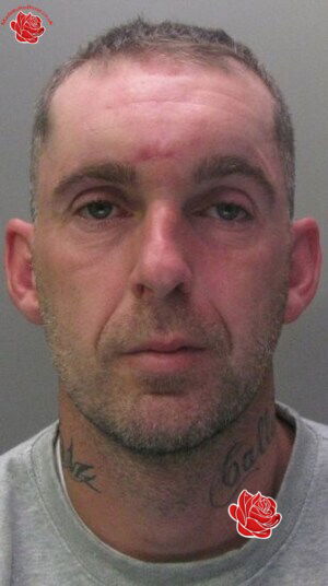 Simon Bowyer – profile image