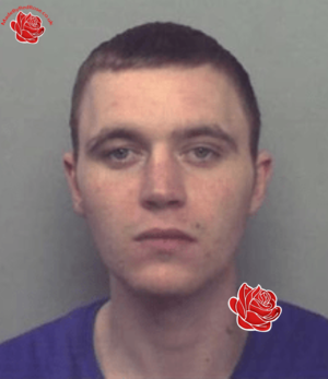 Christopher Griffiths – profile image