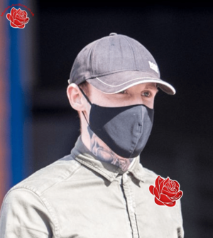 Robert Alexander – profile image
