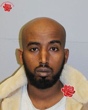 Mohamed Mohamoud – profile image