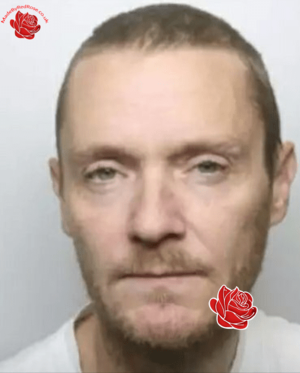 Stephen Riley – profile image