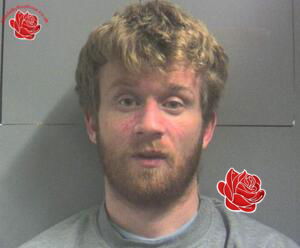 Michael McNamara – profile image