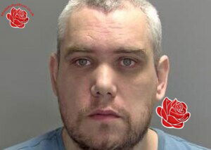 Adam Greenacre – profile image