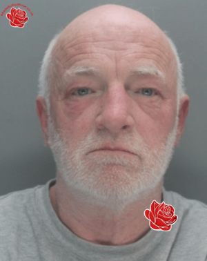 Gerard Gibbons – profile image
