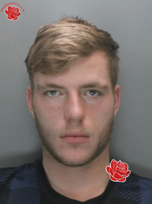 Alexander Potts – profile image