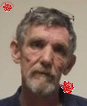 David Morrison – profile image