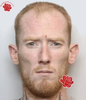 Owen Scott – profile image