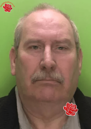 David Timmins – profile image