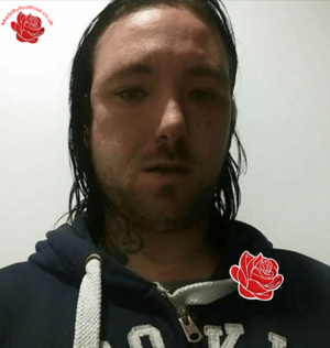 Stuart Wade – profile image