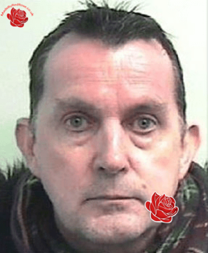 Craig Wood – profile image