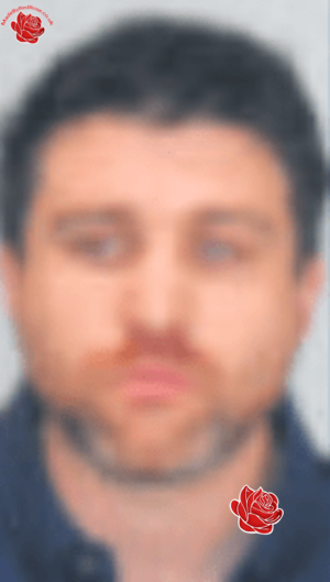 Neil Wheatley – profile image