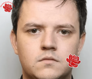 Steven Newlands – profile image