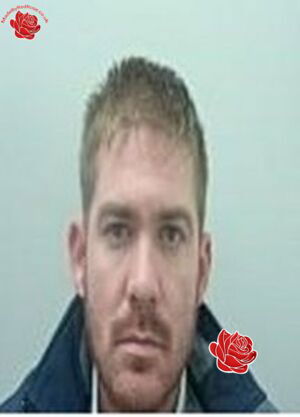 Michael Wood – profile image