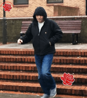 Raymond Stevenson – profile image