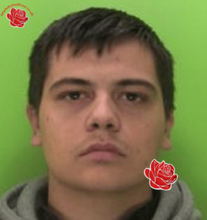 Daniel Cooper – profile image