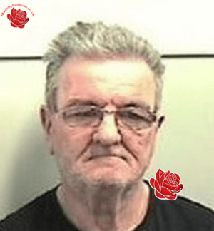Owen Hollern – profile image