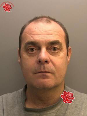 Steven Airey – profile image