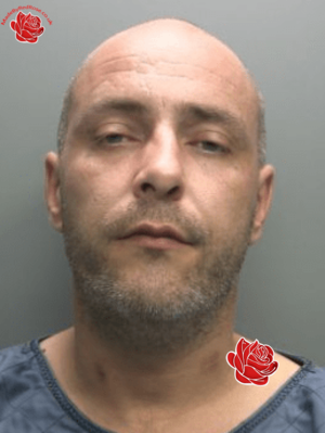 Steven Gilberston – profile image