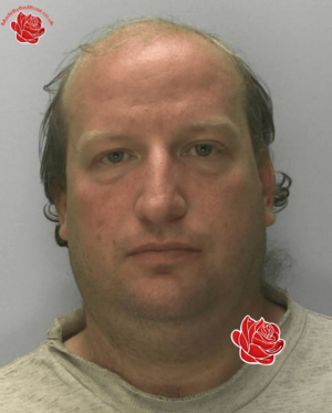 Mark Wixey – profile image