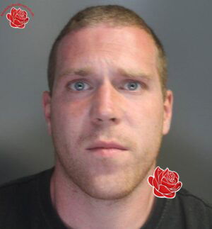 Daniel Rigg – profile image