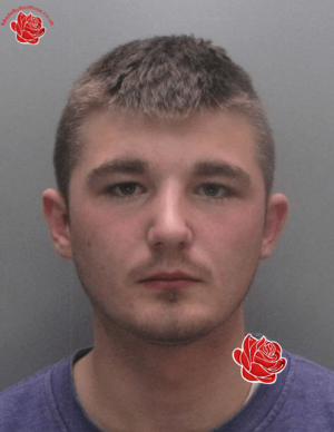 Connor Atkins – profile image