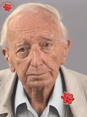 Herbert Hayman – profile image