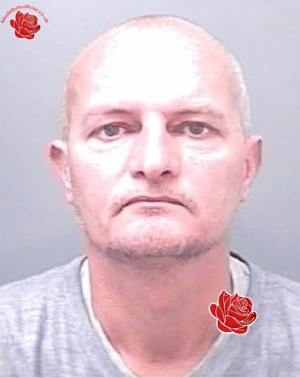 Andrew Hollingworth – profile image