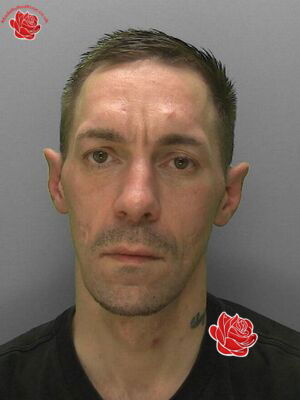 Steven Letts – profile image
