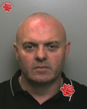 Martin Rowley – profile image
