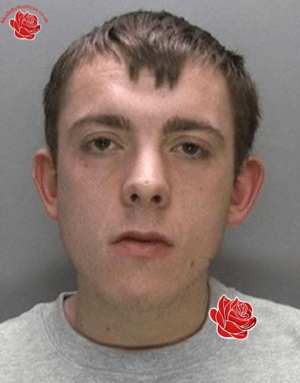 Reece Pettitt – profile image
