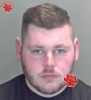 Alfie King – profile image
