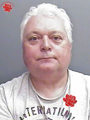 Stephen Higgitt – profile image