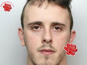 Liam Deane – profile image
