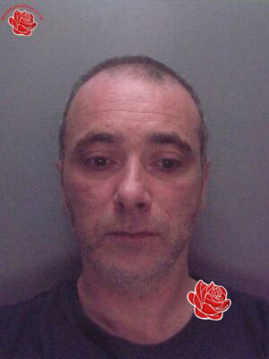 Mark Roberts – profile image