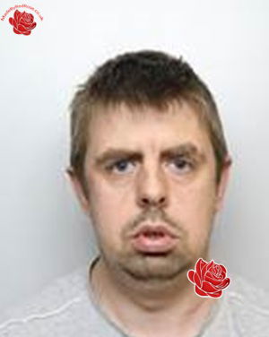 Steven Byrne – profile image
